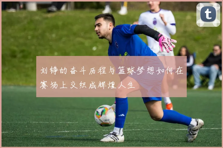 刘铮的奋斗历程与篮球梦想如何在赛场上交织成辉煌人生